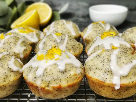 lemon poppy seed muffin