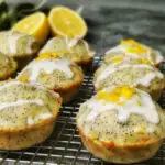 lemon poppy seed muffin