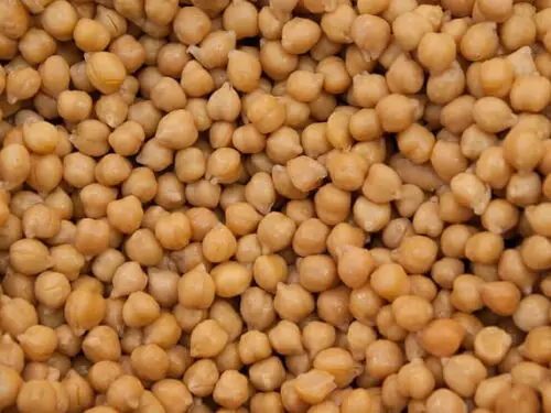 Chickpea