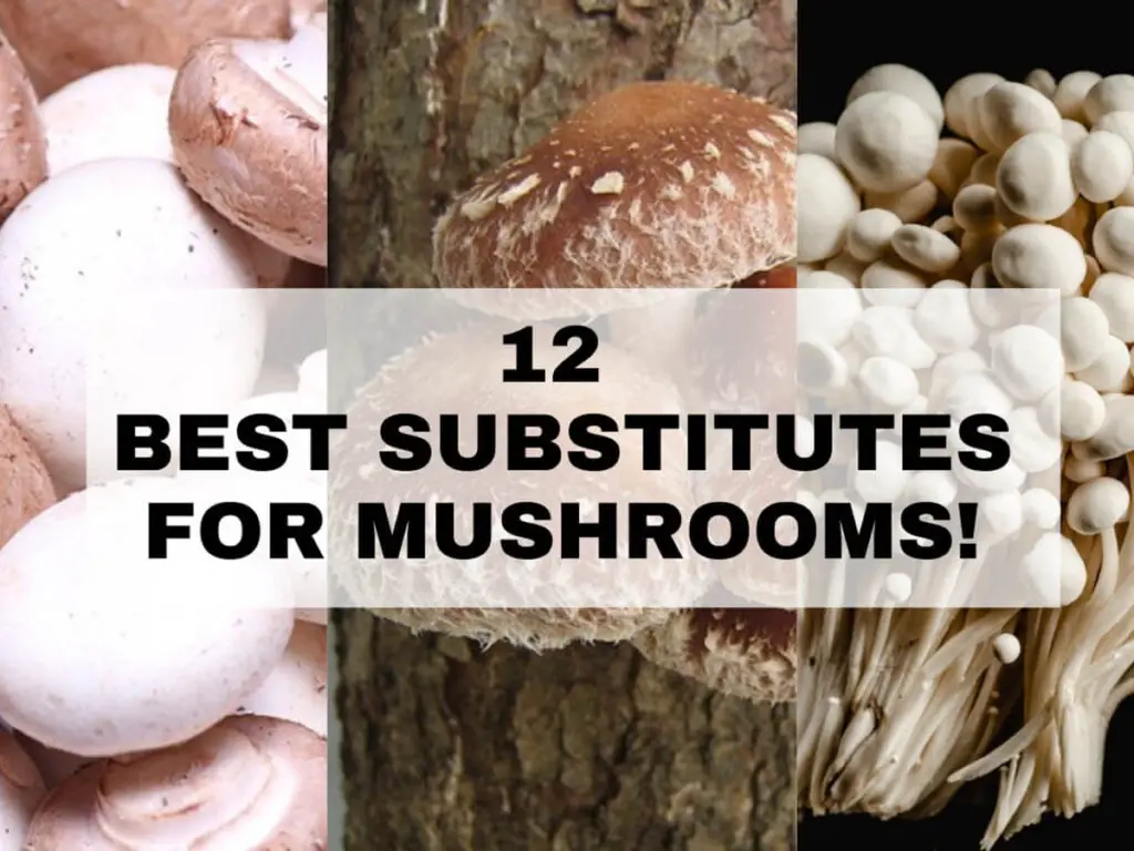 Substitute for Mushrooms