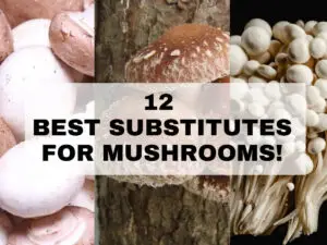 12 Best Substitute for Mushrooms