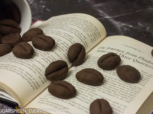 coffee bean cookies spread out on a book
