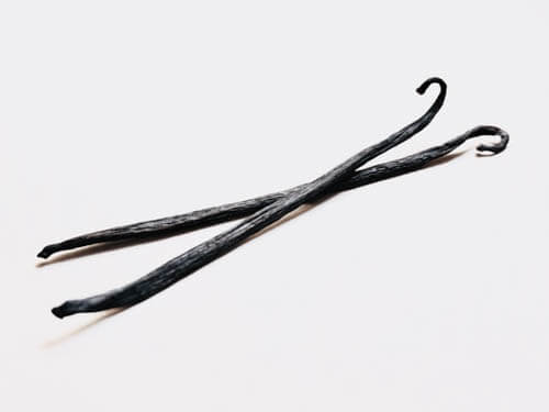 two vanilla beans kept on white background